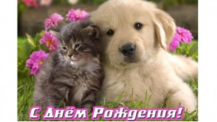 Їстівна картинка "З днем народження" 2 Їстівна картинка "З днем народження" 2