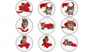 Новорічне зображення 8