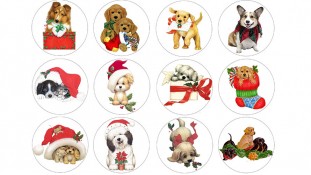 Новорічна картинка 20