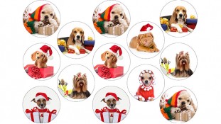 Новорічна картинка 33