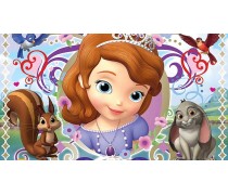 Принцеса Софія 5