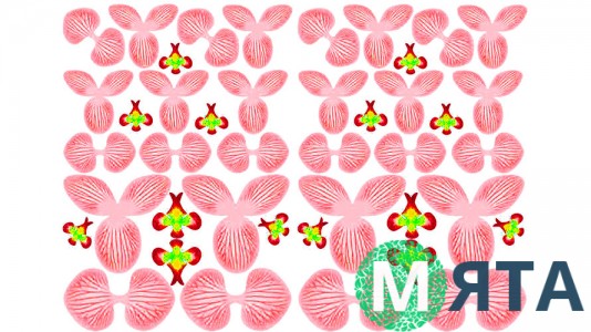 Заготівля для орхідеї 3д №3