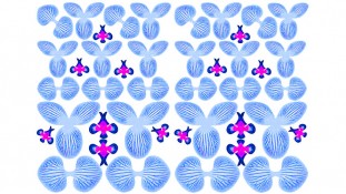 Заготовка для орхідеї 3д