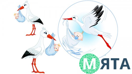 Лелека хлопчик