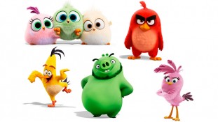 Angry Birds 8 Angry Birds 8