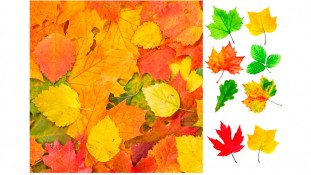 Їстівна картинка Осінній лист 1
