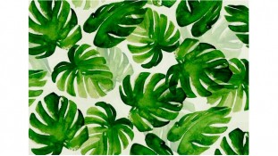 Листя пальми