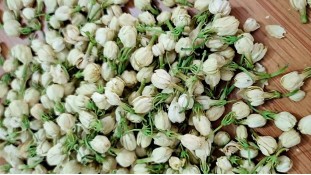 Сушені бутони жасмину