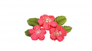 Набір цукрових прикрас рожеві квіти з намистом. Набір цукрових прикрас рожеві квіти з намистом.