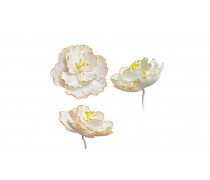 Цукрова квітка Камелія