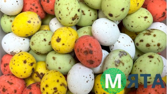 Яйця перепелині, 6 шт