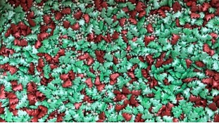 Цукрове посипання Ялинки перламутрові, Червоні/Зелені