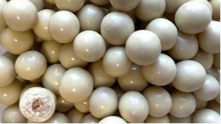 Шоколадні кульки, Білі