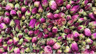 Сушені бутони троянди, Рожеві. №3