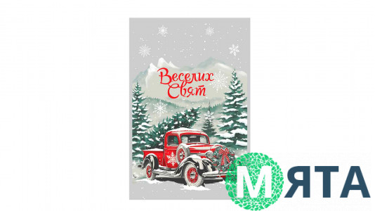 Пакет Новорічний №5, 20х30 см