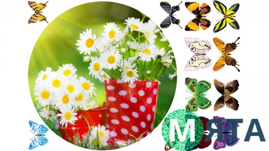 Съедобная картинка "Цветы"