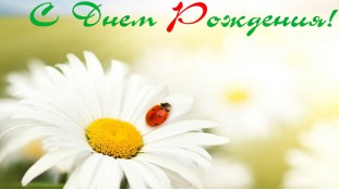 Съедобная картинка "Цветы" 5