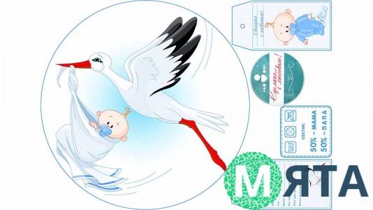 Съедобная картинка к рождению