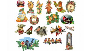 Зимние птицы Зимние птицы