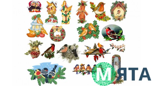 Зимние птицы