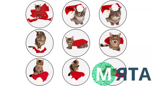 Новогодняя картинка 8