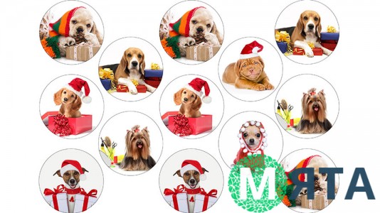 Новогодняя картинка 33