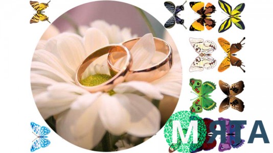 Пищевая картинка Свадебная 2