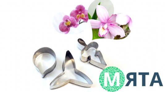 Вырубка металлическая Орхидея Фаленопсис