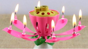 Музыкальная свеча для торта цветок Лотос Музыкальная свеча для торта цветок Лотос