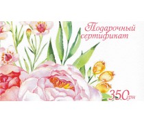 Подарочный сертификат 350 грн