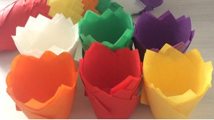 Бумажная форма Тюльпан 50х80