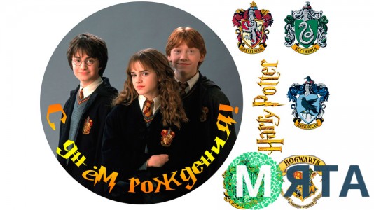 Гарри Поттер 2