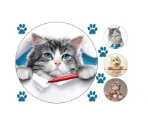 Съедобная картинка Девять жизней