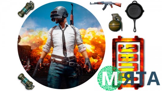 BATTLEGROUND (PUBG) 4