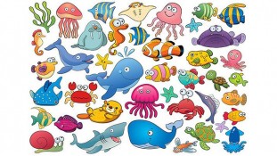 Рыбки Рыбки