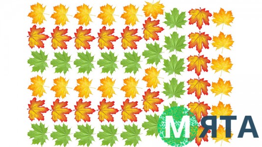 Съедобная картинка Кленовые листья