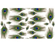 Перо Павлина