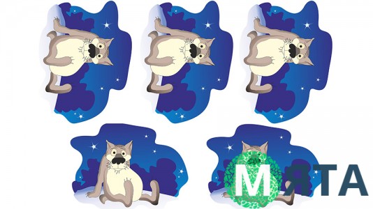 Жил был пес 2