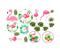 Съедобная картинка с Фламинго 3