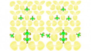 Заготовка для орхидеи 3д, №4