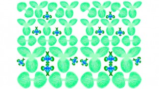 Заготовка для орхидеи 3д, №2