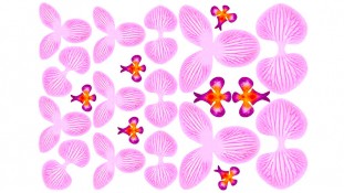 Съедобная картинка Заготовка для орхидеи 3д, №6