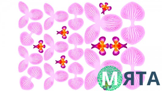 Съедобная картинка Заготовка для орхидеи 3д, №6