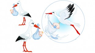 Аист мальчик