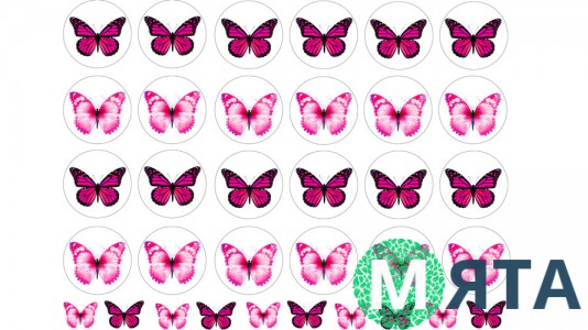 Бабочки 4