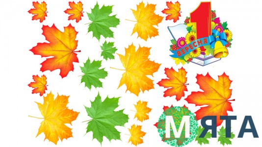 Съедобная картинка 1 вересня. 3