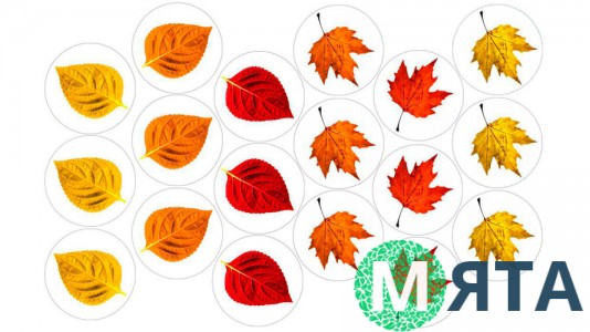 Съедобная картинка Осенний лист 2