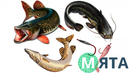 Съедобная картинка Рыба