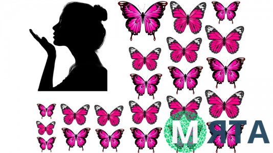 Бабочки и Девушка 