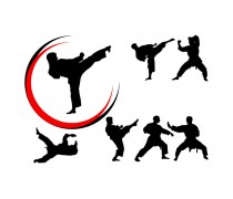 Единоборство 5